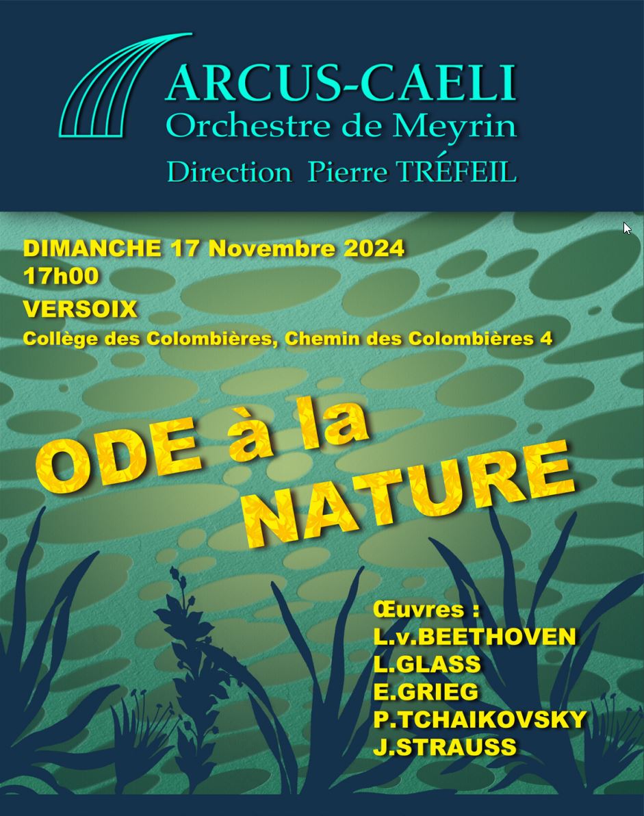 Affiche du concert du 17 novembre 2024 à Versoix